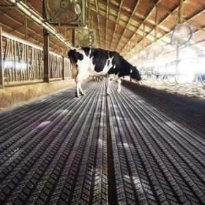 Rubber Mat& Mattress